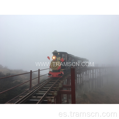 Trenes de turismo diesel con dos carros.